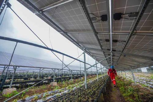 中國(guó)十三省最大光伏電站在這里！欽州康熙嶺的光伏電站能排上號(hào)了嗎？